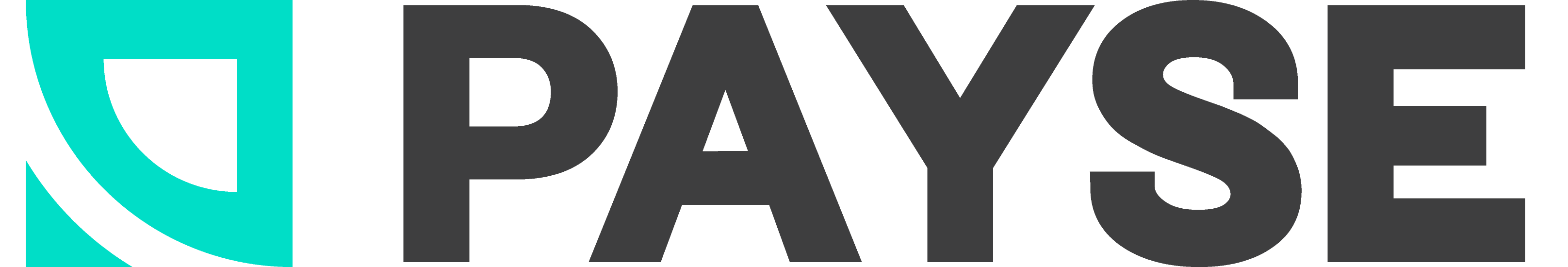 Payse - Logo